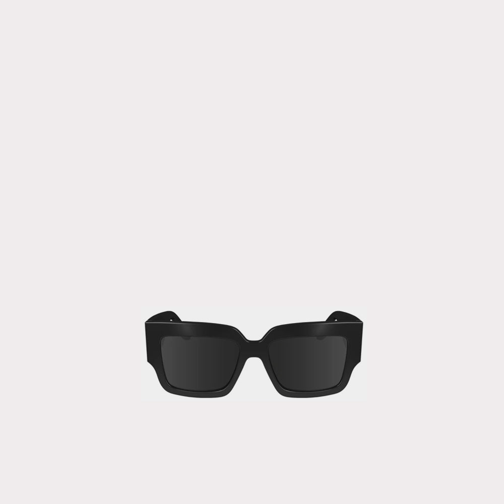 Sunglasses V-Plaque